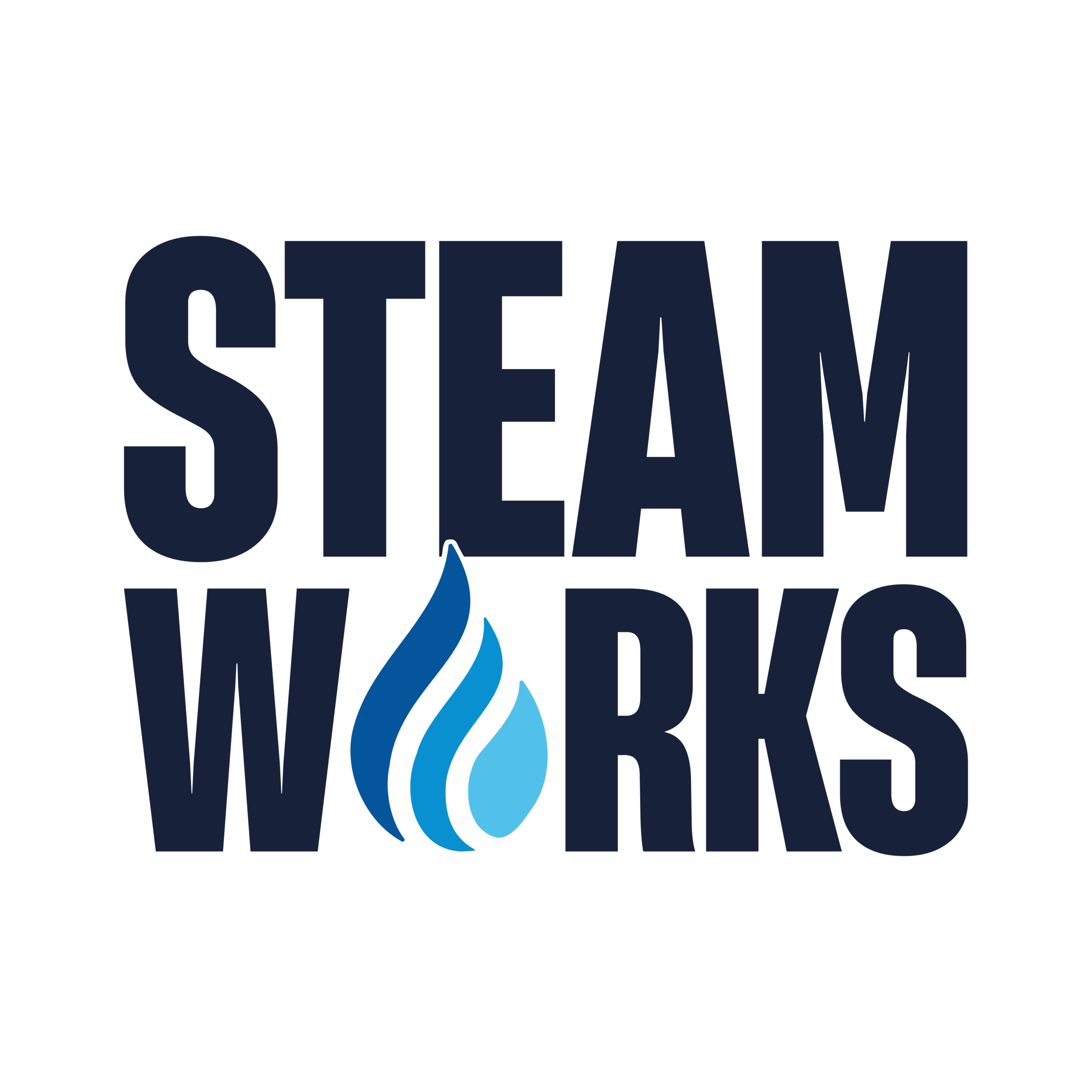 Steamworks Facility Services